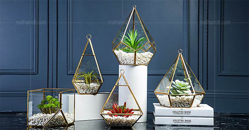 Bình thủy tinh đa giác đẹp, độc đáo M8-D059 thumbnail 5